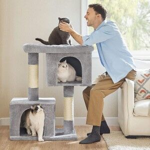 Mini Cat Tree for Big Cats